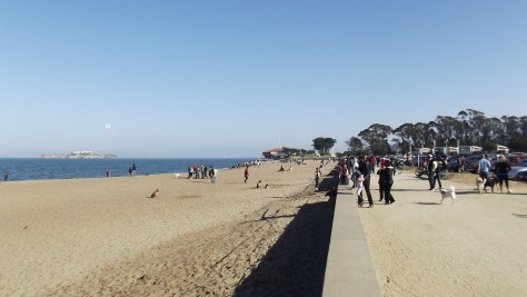 At the beach for Chrismas